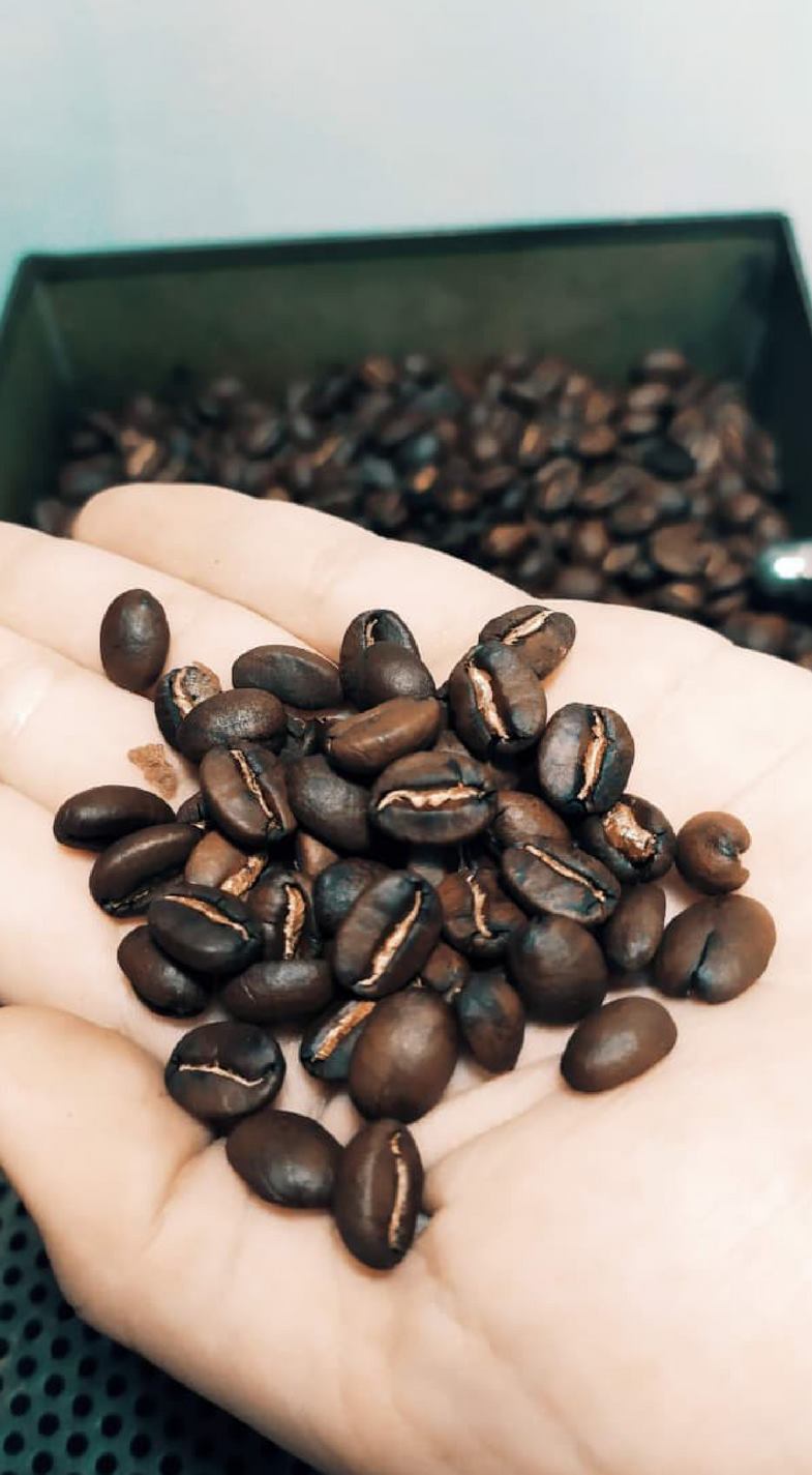 Café, cultivo, cata y maridaje