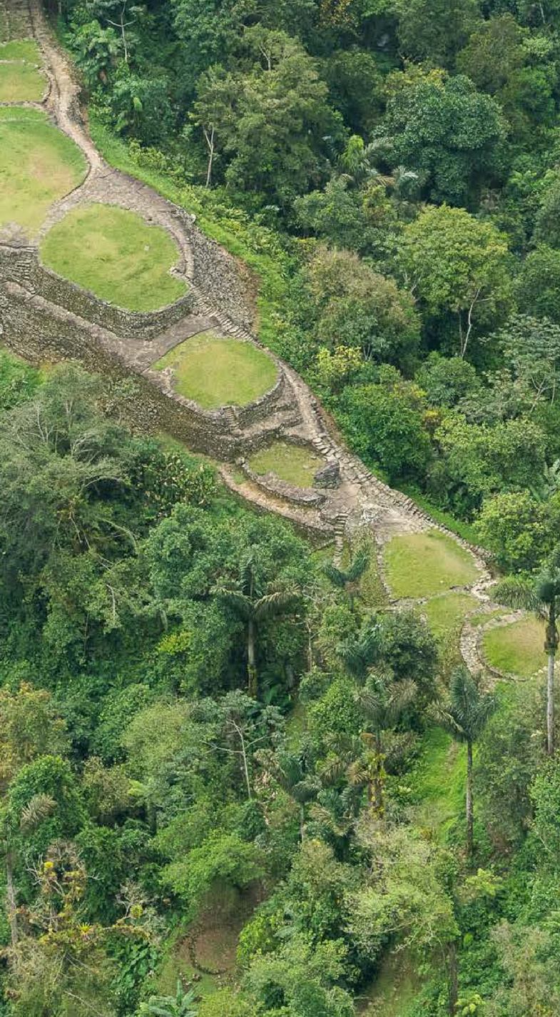 Trekking Ciudad Perdida
